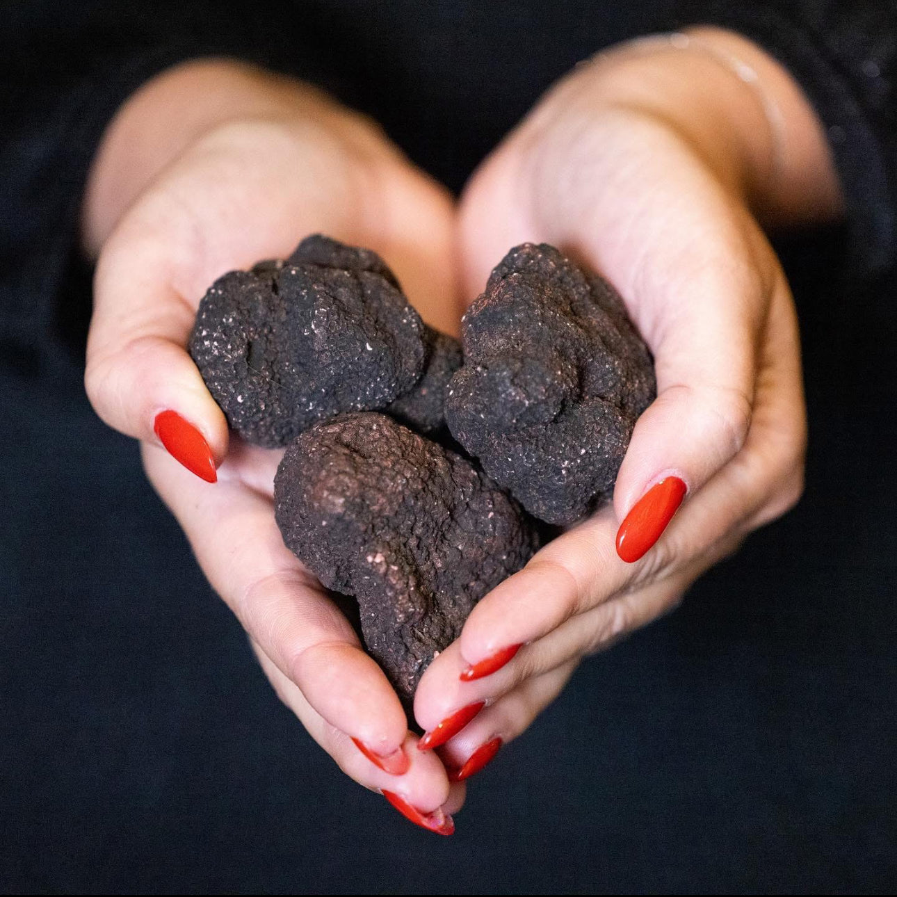 Truffes