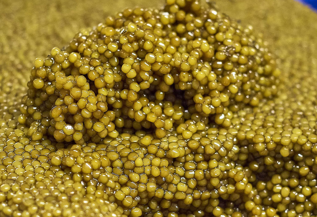 Caviar "Queen of Pearl" IMPÉRIAL