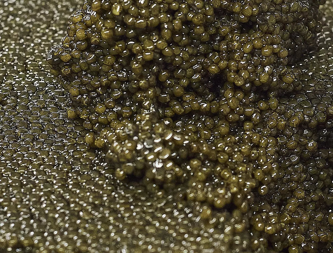 Caviar "Queen of Pearl" Royal