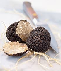 Truffe noire d'été Tuber Aestivum
