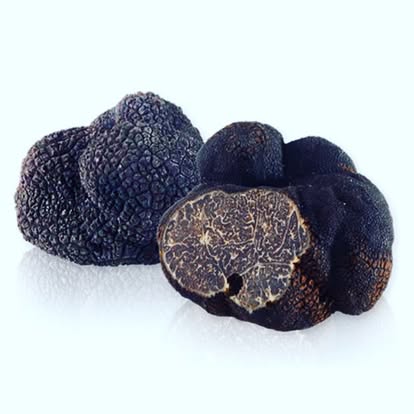 Truffe noire d'Hiver Tuber Melanosporum origine France
